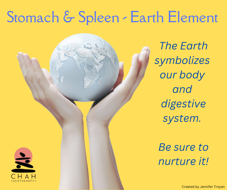 Stomach & Spleen - Earth Element