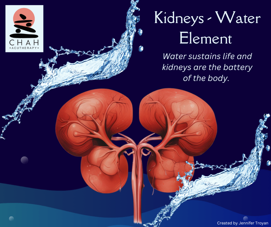 Kidneys - Water Element